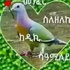 grmhsa.grmhsa
