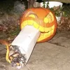 Lohan