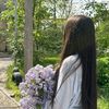 opia_10.04