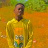 user69081011663815