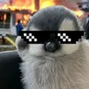 xafid_sigmadn
