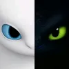 bgfkitre