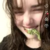 eggilayda