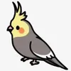 drawsongbirdmagyar
