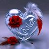 user576141724508