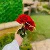 user6859530090725