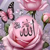 user12184154550312