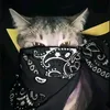 ᵐᵘᶻᶻ⚚꧁ʏᴜᴋɪ炎