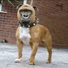 bigmanrusss