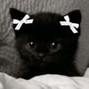 kitty_cattt637