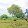 ken.villamor3