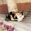mark.medhat_0
