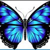 maryu_045