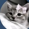 i_love_cats_del
