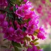 akram.abed2