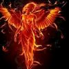 user1631832629666