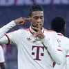 fc.bayern.fan4