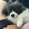 liliy8745