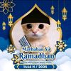 dimasaliansyah485