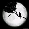 .akram.al.qutafi