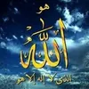 user5073580752259