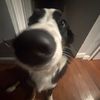 jazzycromathy8