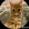 vanny4362