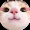 andrea.citlali4