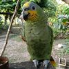 jacinto.perez04