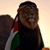 akram.alomoush