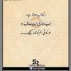 muhammadmusa2447