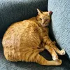 user_account626