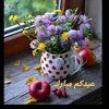 fatimasaleh092