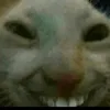 jorggx0