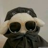 ezequiel_velasquez0