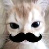 nemo_imyutt