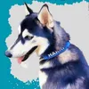 hakki.doggo