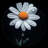 mhamad.m.mhamad6