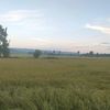 aung.naingthu14
