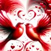 zoukloves