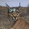 habibikieran