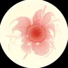 flaverse