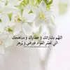 .ramialquluba.ali6