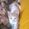 hadeel.hisham81