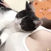 ngqanhdthw5509