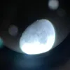 haukai4