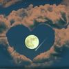 fadi.kattan