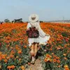 yoursunshineanddaisies