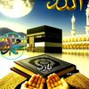 user4435509606502