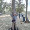 iswandihari